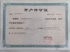 Bank account licence