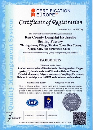 ISO 9001